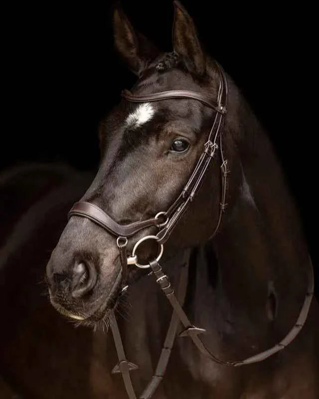 LeMieux Arika Drop Bridle Brown/Silver