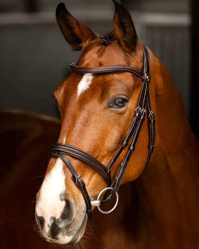 LEMIEUX ARIKA Flash Bridle - Brown Leather Horse Bridle with Silver Fittings | Equiflair