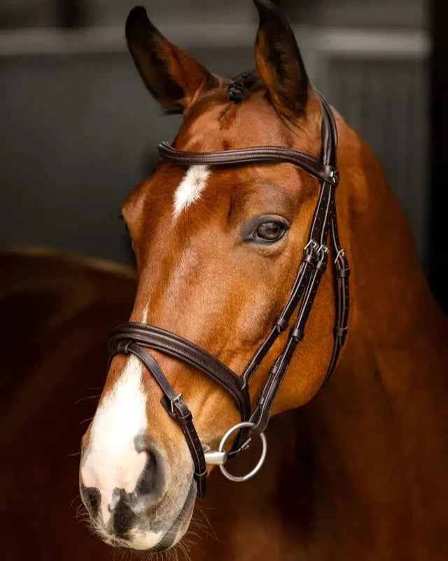LeMieux Arika Flash Bridle Brown/Silver
