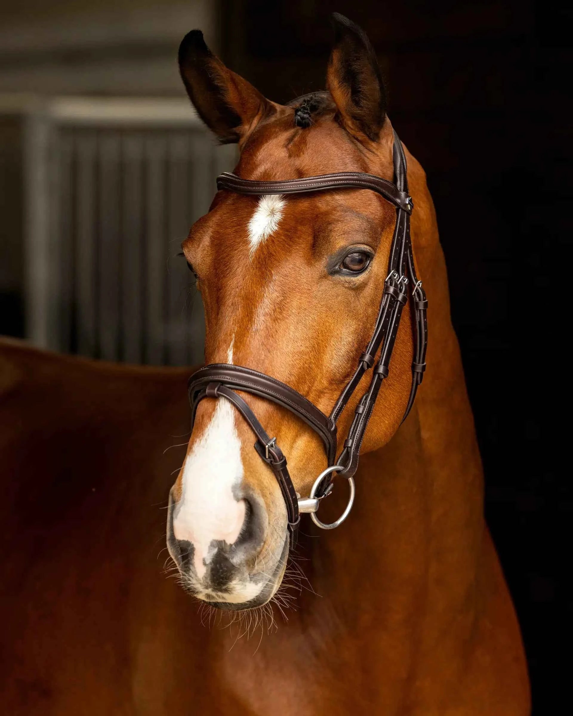 LeMieux Arika Flash Bridle Brown/Silver