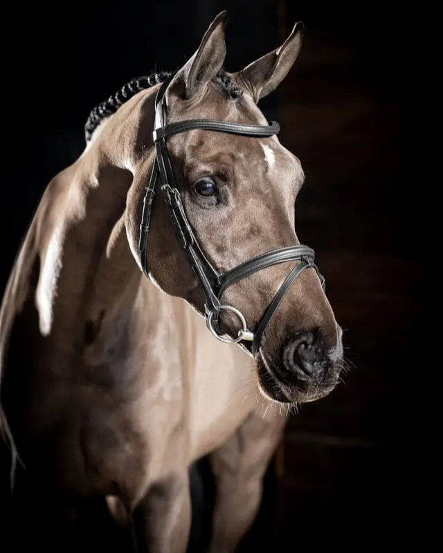 LEMIEUX ARIKA Flash Bridle Black Silver | Horse Bridle Leather Padded Anatomical Equiflair
