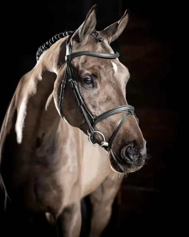 LeMieux Arika Flash Bridle Black/Silver