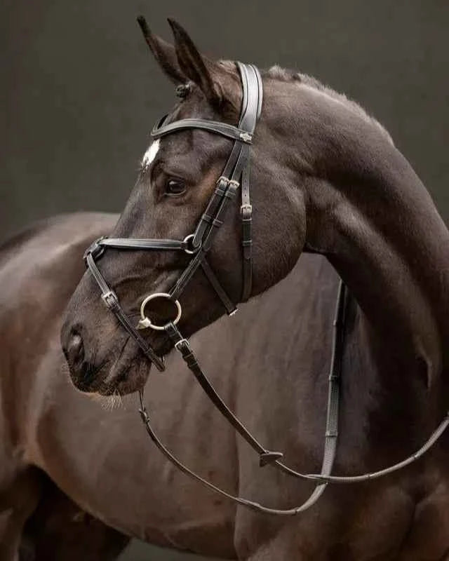 LeMieux Arika Grackle Bridle Black/Silver