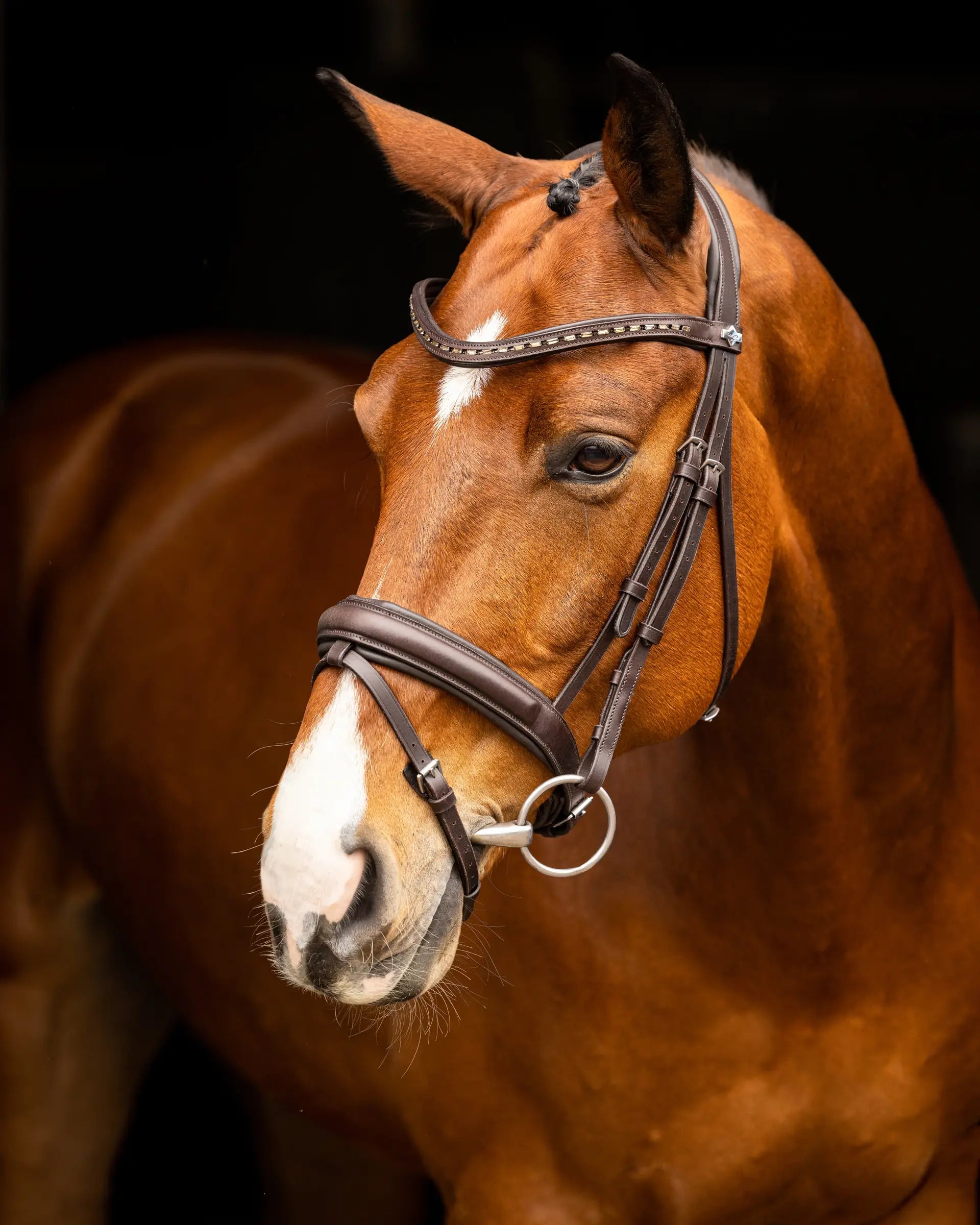 LEMIEUX ARIKA Dressage Bridle Brown/Silver - Horse Headshot | Equiflair