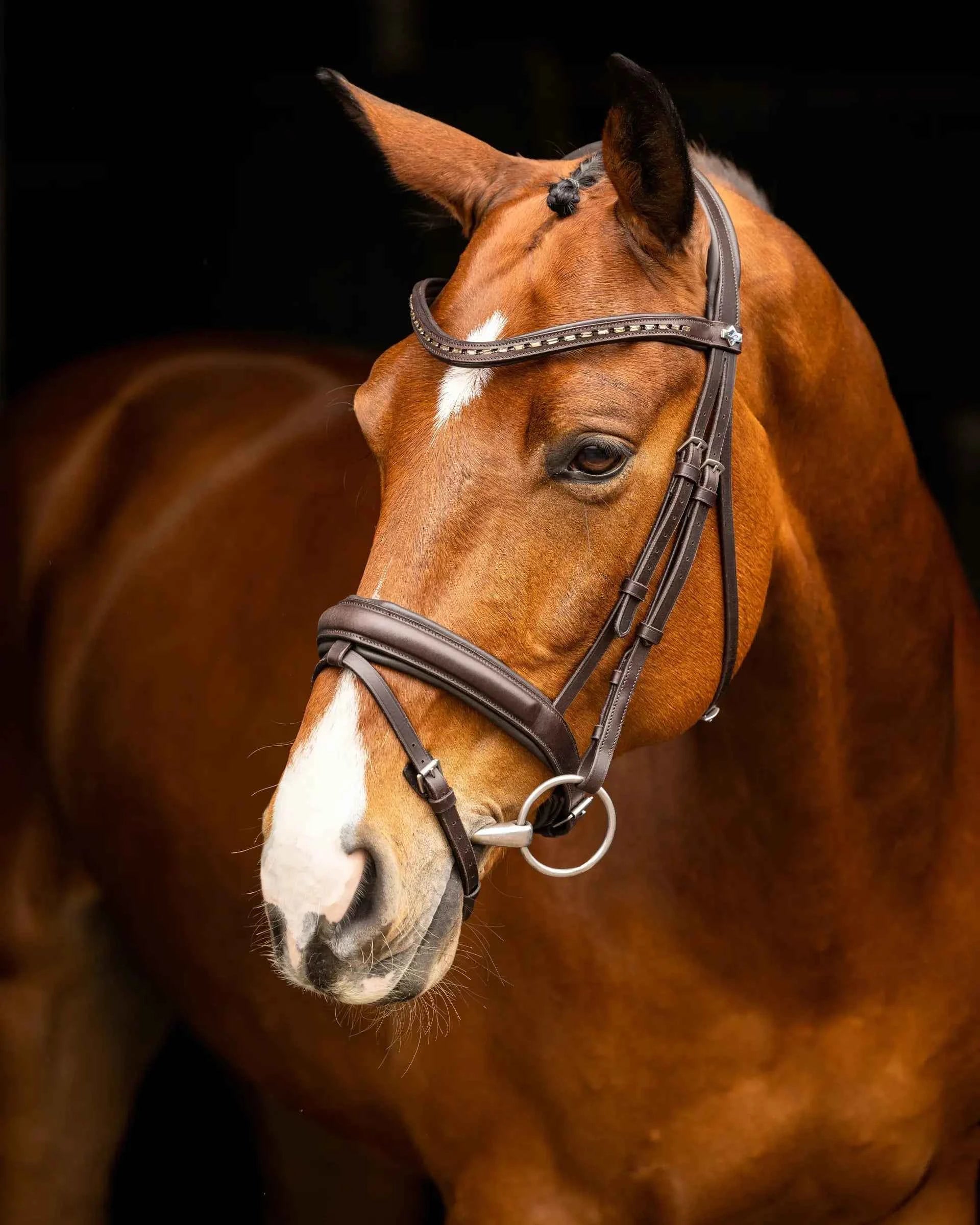 LeMieux Arika Dressage Bridle Brown/Silver