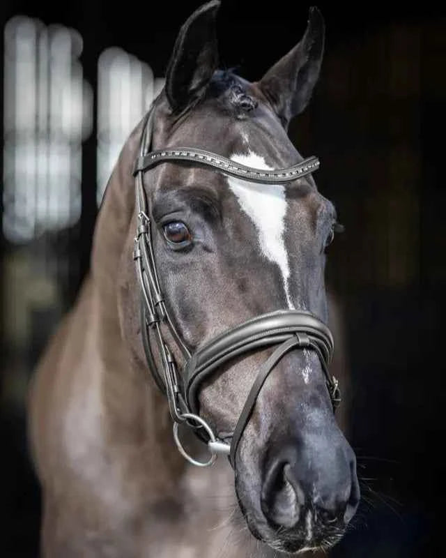 LeMieux Arika Dressage Bridle Black/Silver
