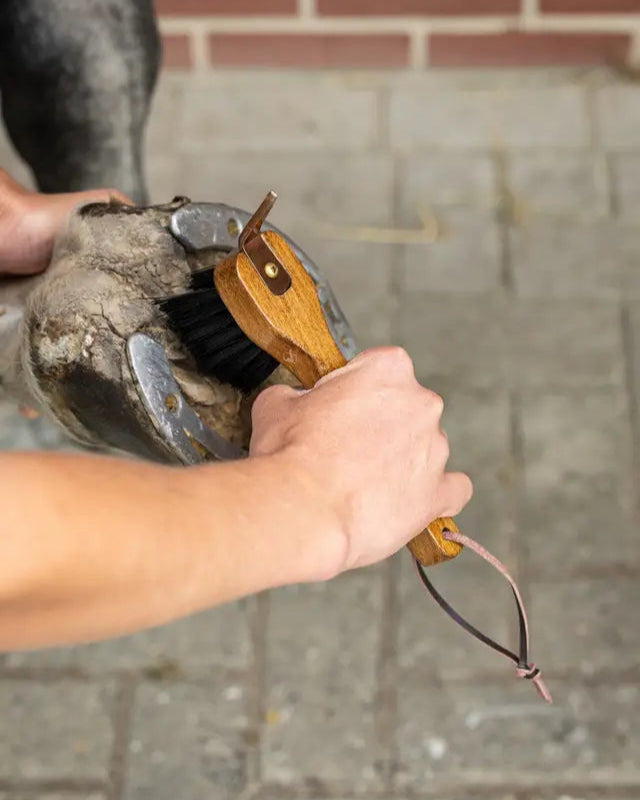 Horse Hoof Cleaning with LeMieux Hoof Pick - Equestrian Care & Grooming