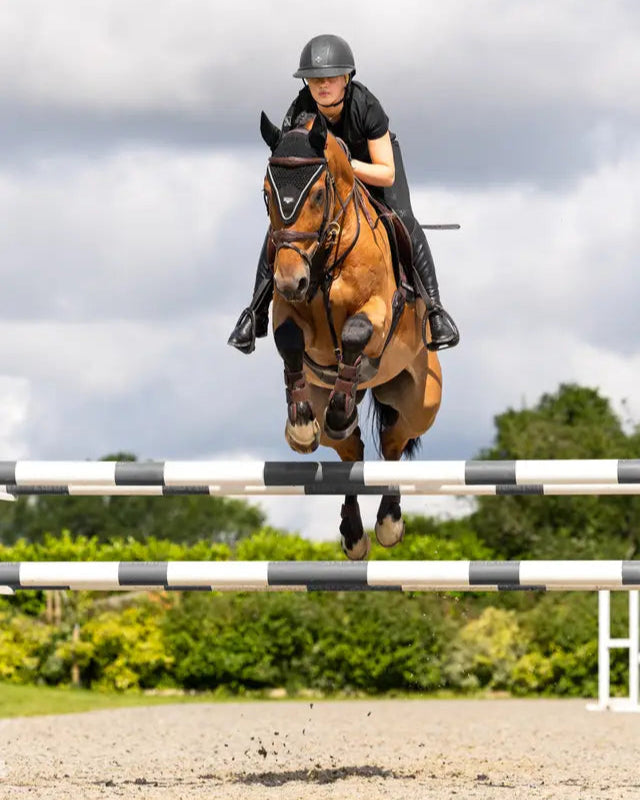 Horse Jumping with Rider - LEMIEUX PUISSANCE Fly Hood Black - Equestrian Sport