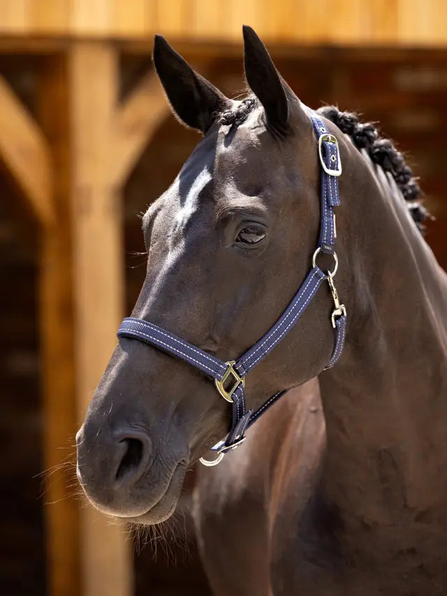 LeMieux Navy Neoprene Horse Headcollar: Durable, Comfortable, Reflective