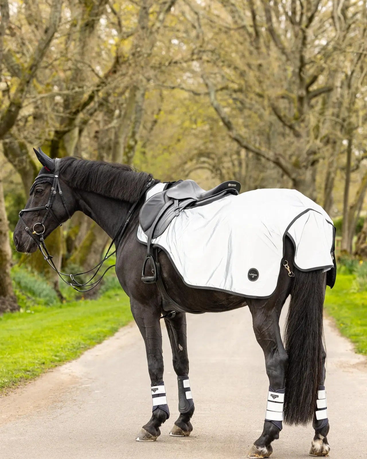 LEMIEUX Reflective Exercise Sheet | Black Horse | Equiflair Equestrian Store