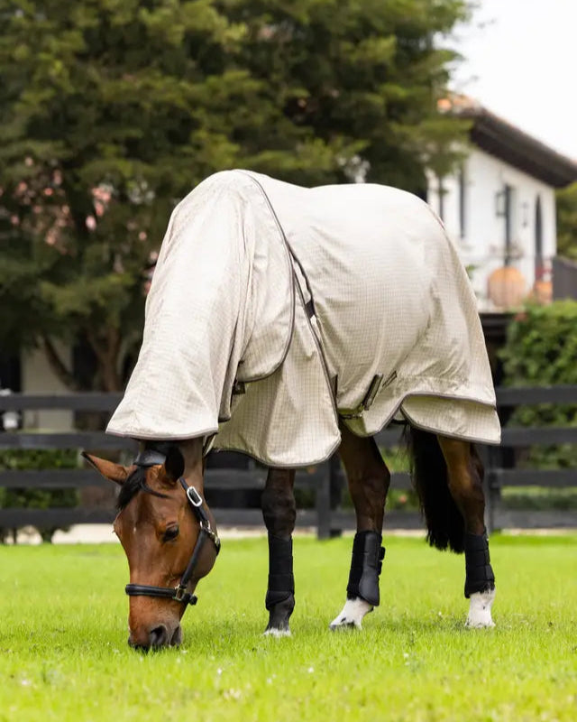 LeMieux Kudos Field Rug Stone: Horse Wearing Polycotton Blanket for Comfort and Protection
