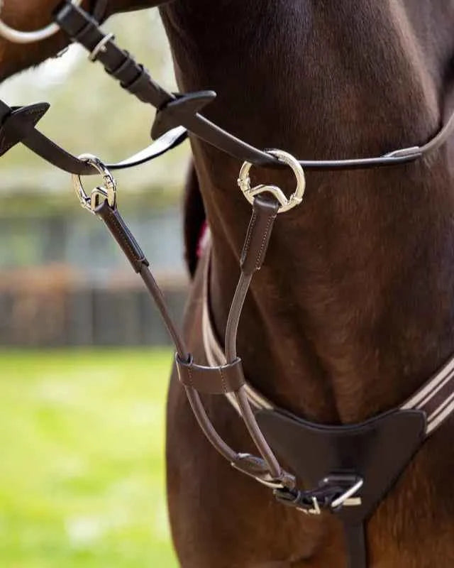 LeMieux Elasticated Martingale Attachment Brown/Silver