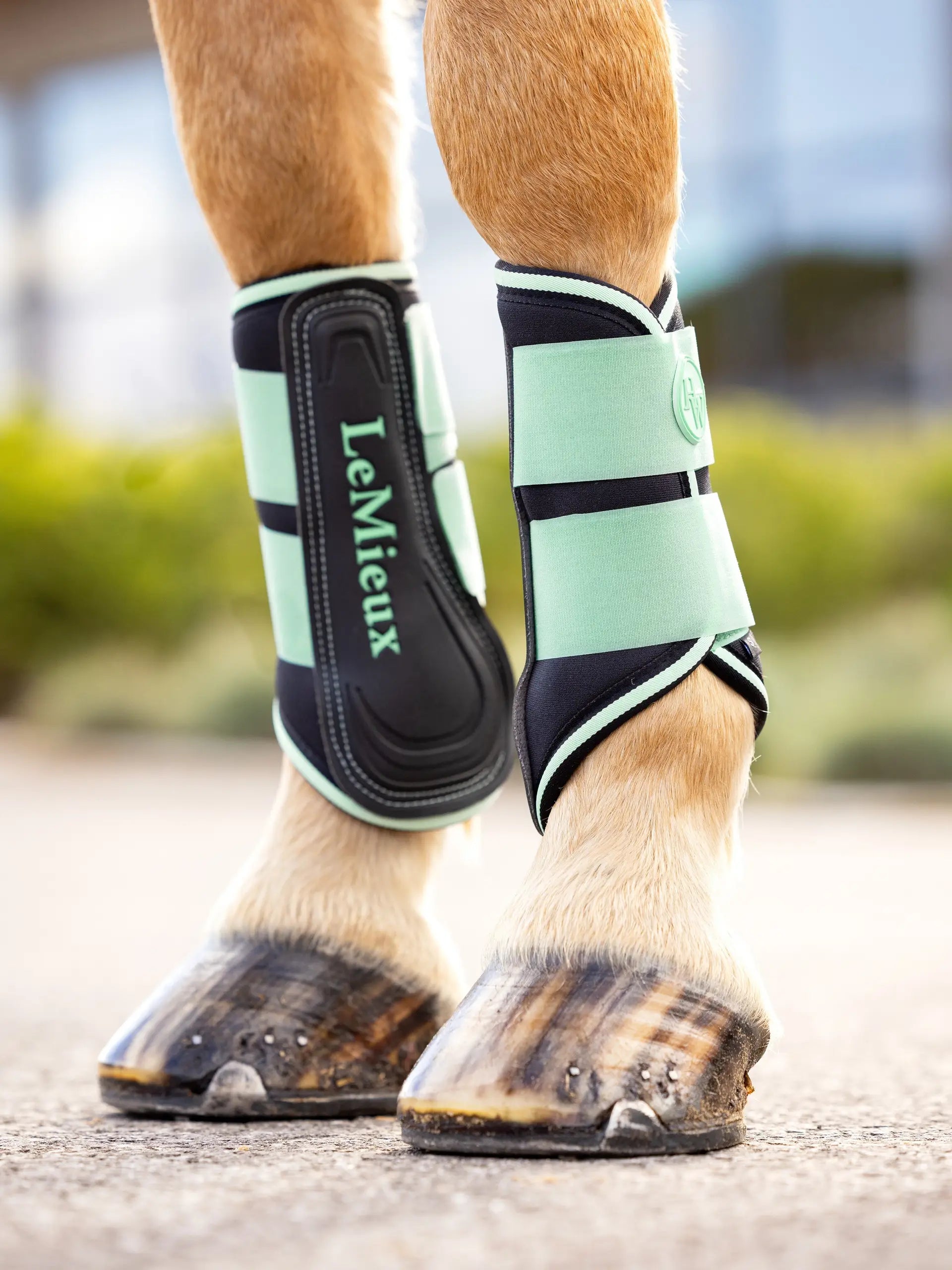 LeMieux Harlow Grafter Boots Softmint