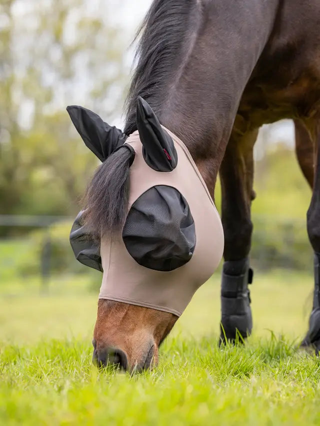 Close-up: Horse wearing a LE MIEUX Bug Relief Walnut Fly Mask grazing. Excellent UV protection! #HorseFlyMask #BugRelief #Lemieux