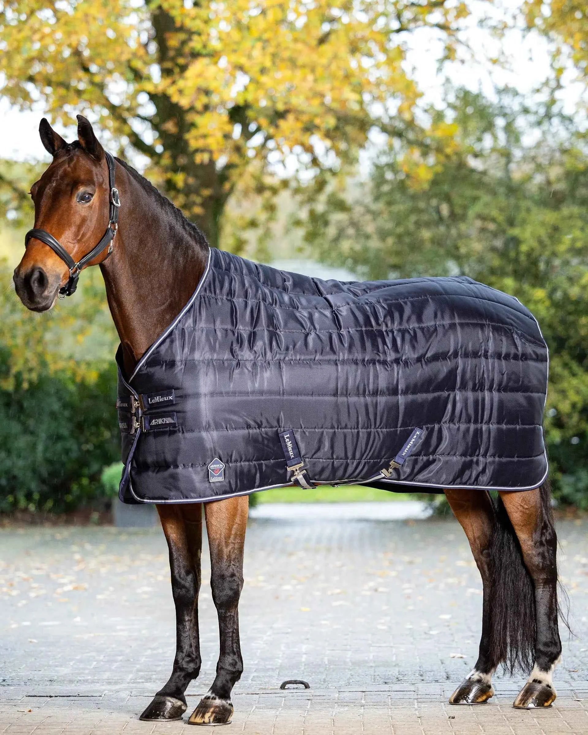 LeMieux Arika Stable-Tek 100g