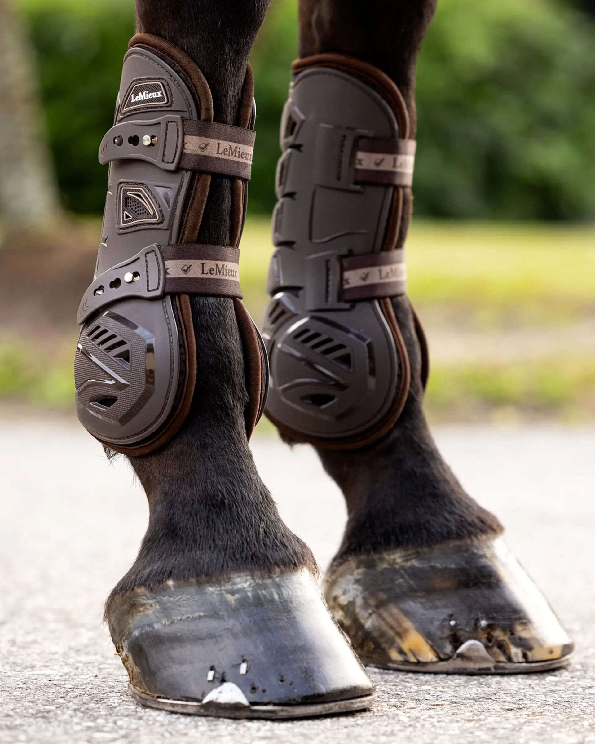 LEMIEUX MOTION COOL tendon boots for horse leg protection, Brown horse boots close-up