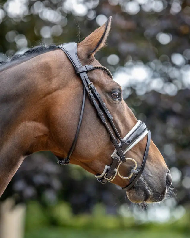 LeMieux Kudos Patent Dressage Bridle Brown/White