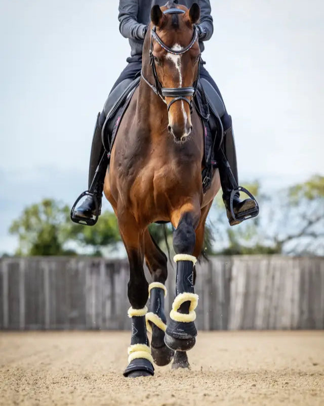 LeMieux Motionflex Dressage Boot with Fleece Edge Black/Natural