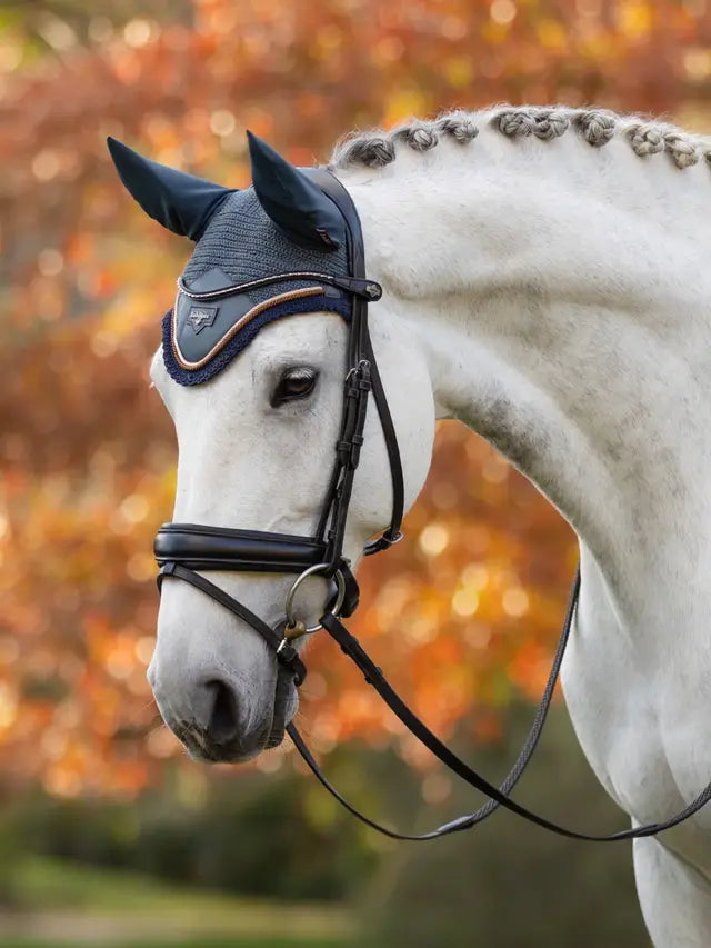 Gray horse with braided mane wearing LeMieux Loire Fly Hood Petrol, stylish horse apparel