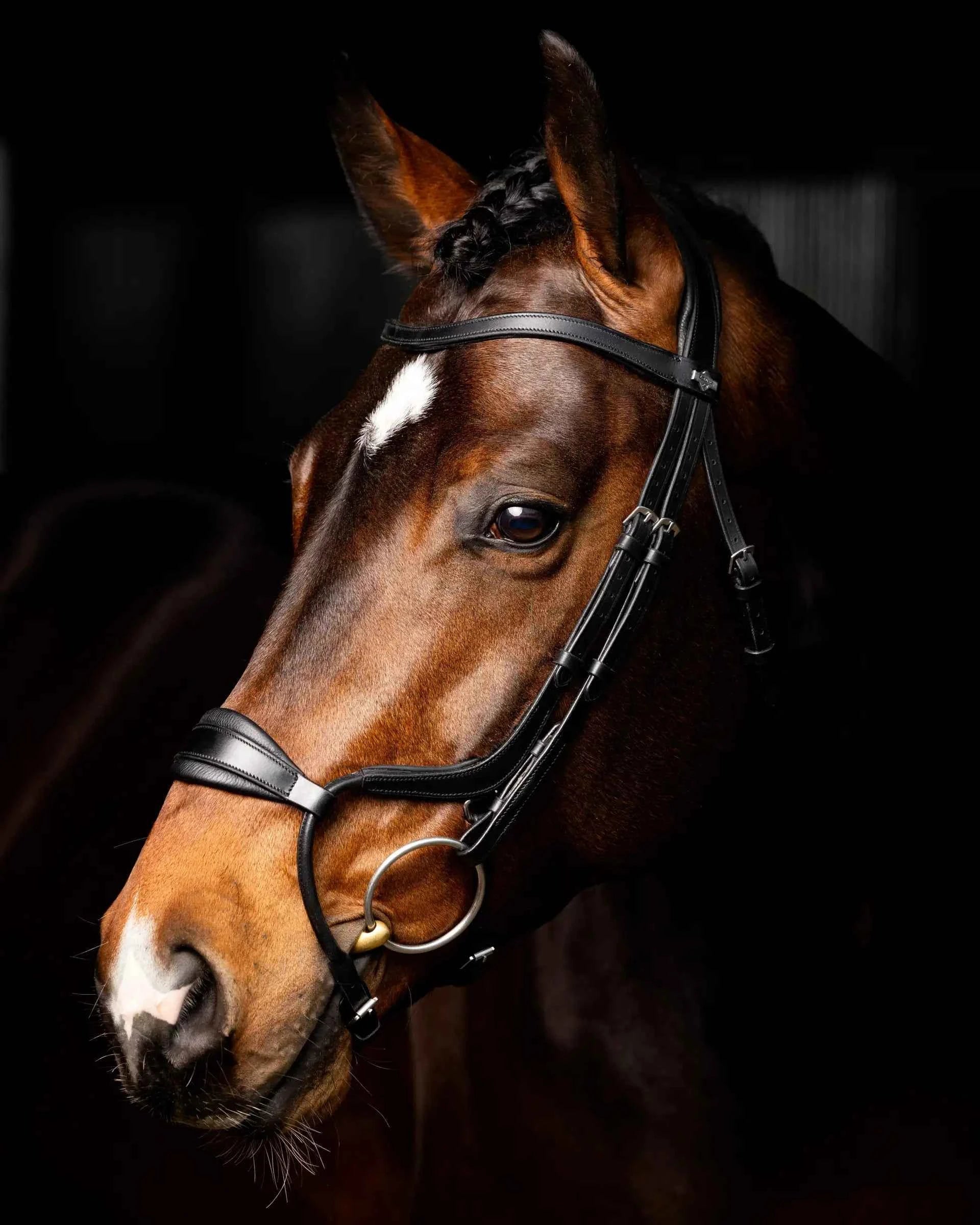 LeMieux Arika Adjustable Anatomic Noseband Bridle Black/Silver