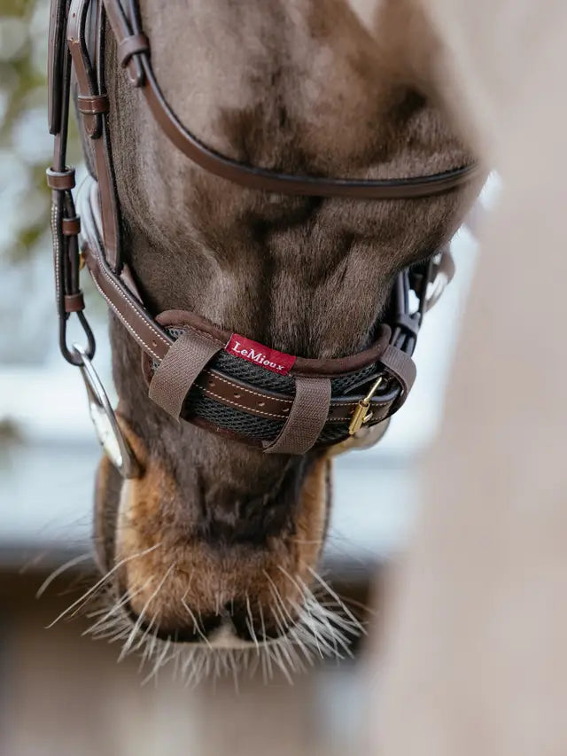 LeMieux Noseband Pad Brown