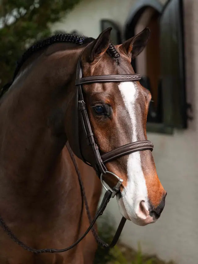LeMieux Stitched Hunter Bridle with Laced Reins Havana/Silver