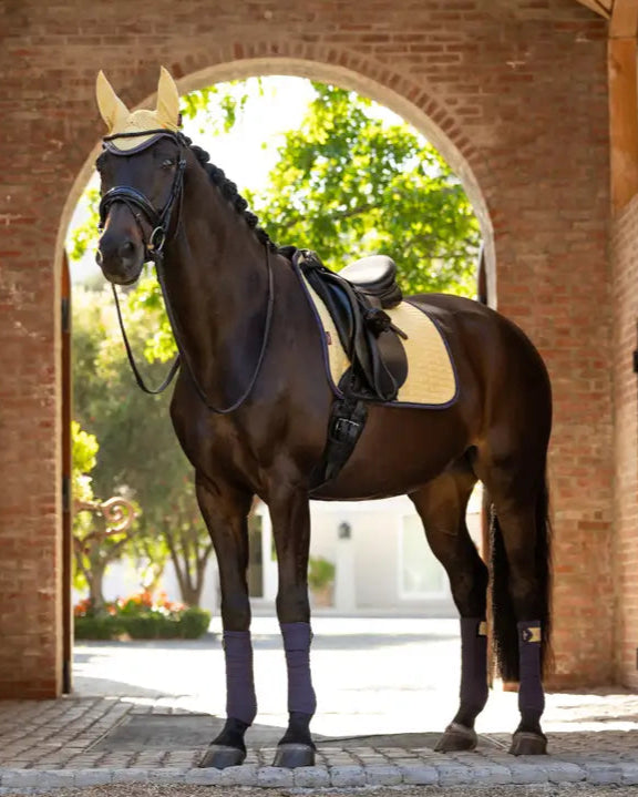 LEMIEUX Suede Dressage Square Mimosa: Stylish Horse Saddle Pad for Dressage, Equiflair