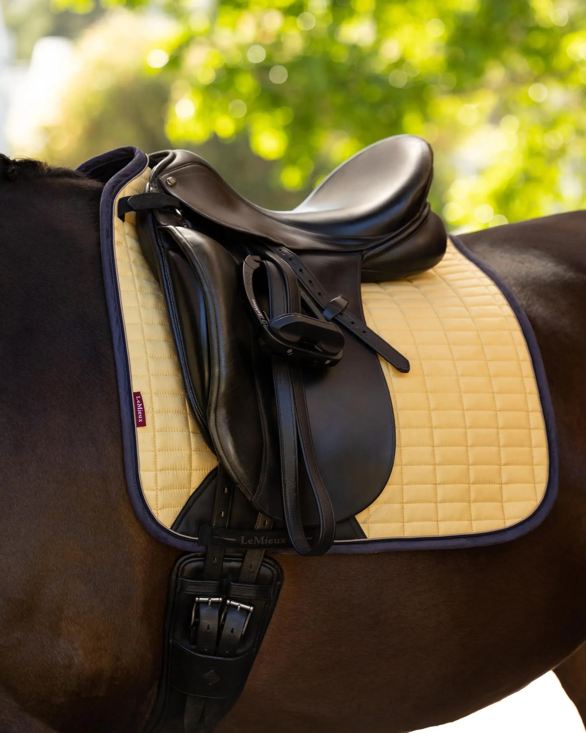 LeMieux Suede Dressage Square Saddle Pad - Mimosa Yellow - Horseback Riding Equestrian Equipment