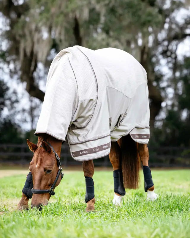 Horse grazing in LeMieux Arika Sunstopper Sheet Stone color. Lightweight with UV protection. - 5'6"