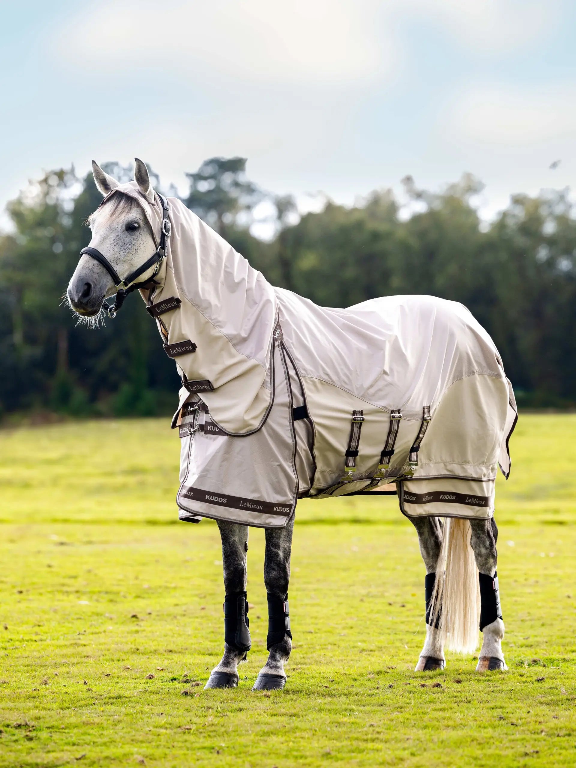 LeMieux Kudos Stone Sweet Itch Rug on Grey Horse: Showerproof Fly Protection. Equiflair.