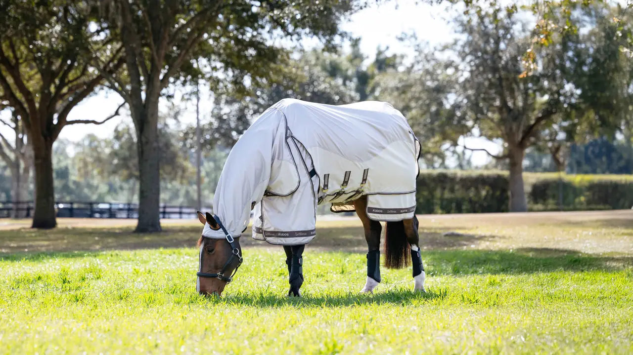 Horse wearing LEMIEUX KUDOS SHOWER PRO SWEET ITCH RUG STONE. Equine sweet itch protection. Fly rug.