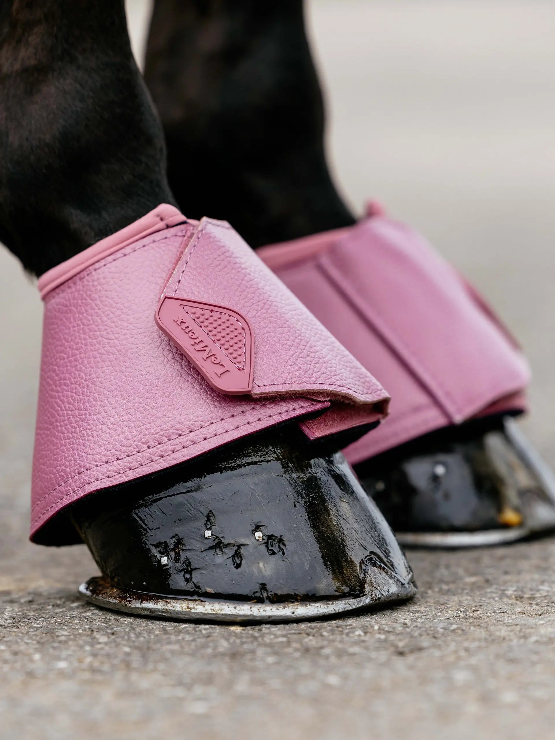 LEMIEUX ARIKA Over Reach Boots in Peony: Pink Horse Boots for Protection and Style.
