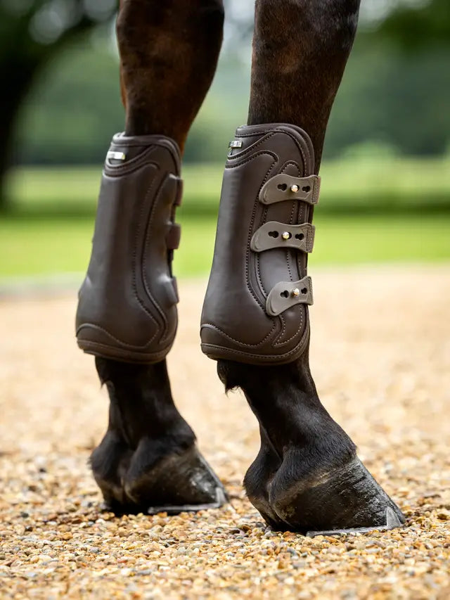 LeMieux Capella Brown Tendon Horse Boots with Straps for Leg Protection | Equiflair