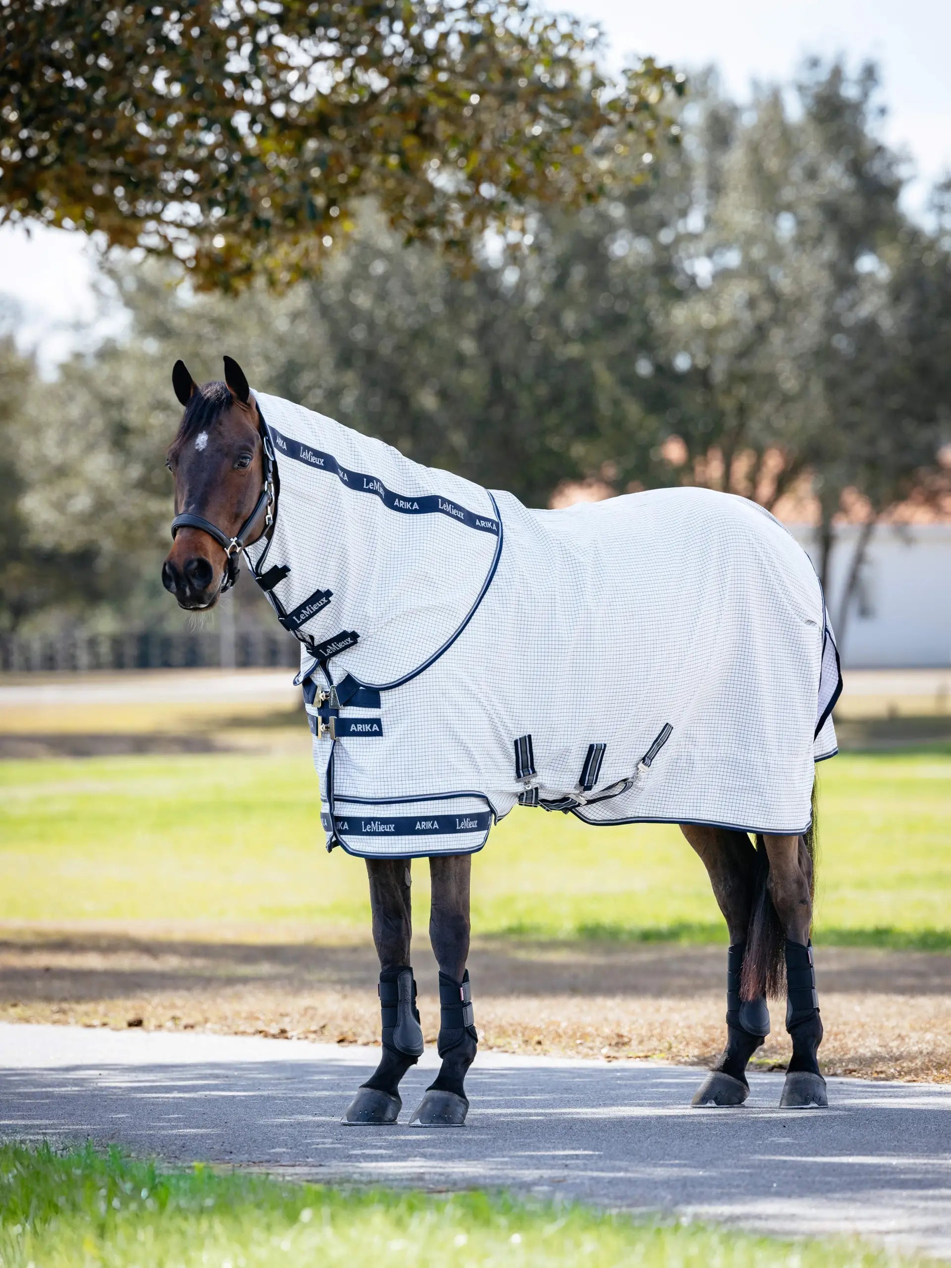 LeMieux Arika White Fly Rug for Horse - UV & Insect Protection