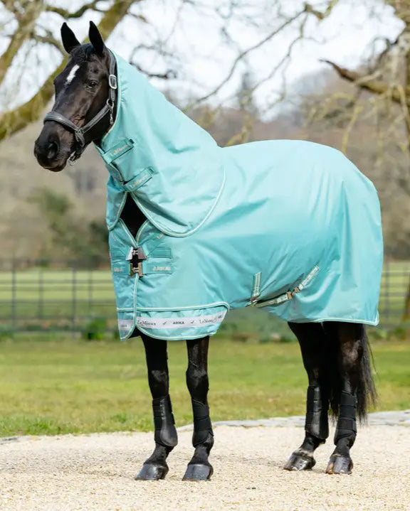 Horse wearing Lemieux Arika Ripstop 50g Turnout Rug Lagoon - Waterproof Equine Blanket