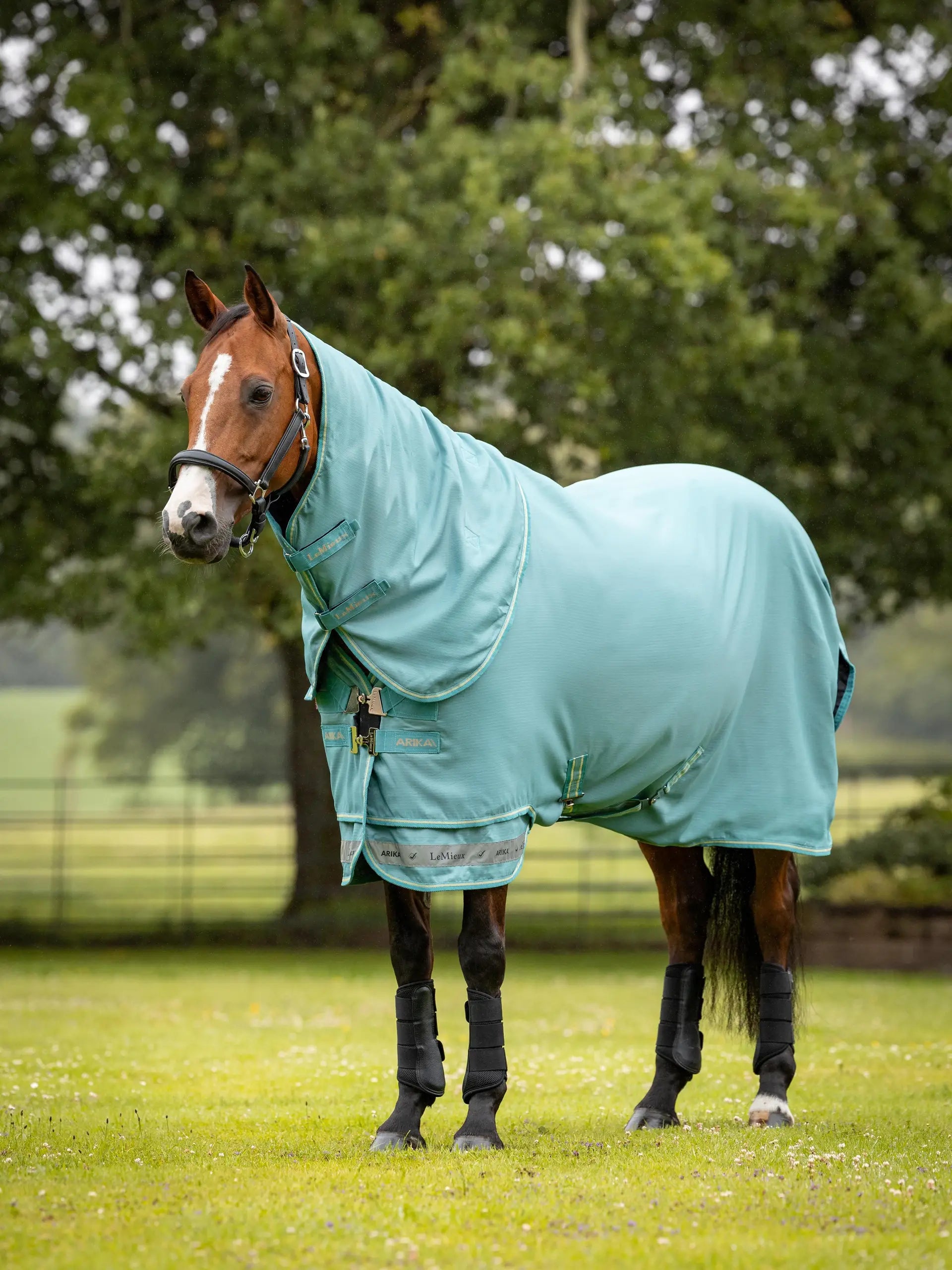 LeMieux Arika Lagoon Turnout Rug - Waterproof Horse Blanket