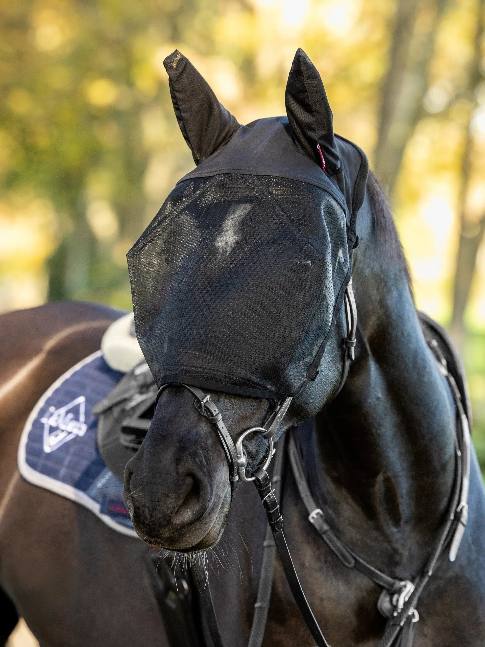 LeMieux Ride On Fly Mask Black - Horse Fly Protection While Riding