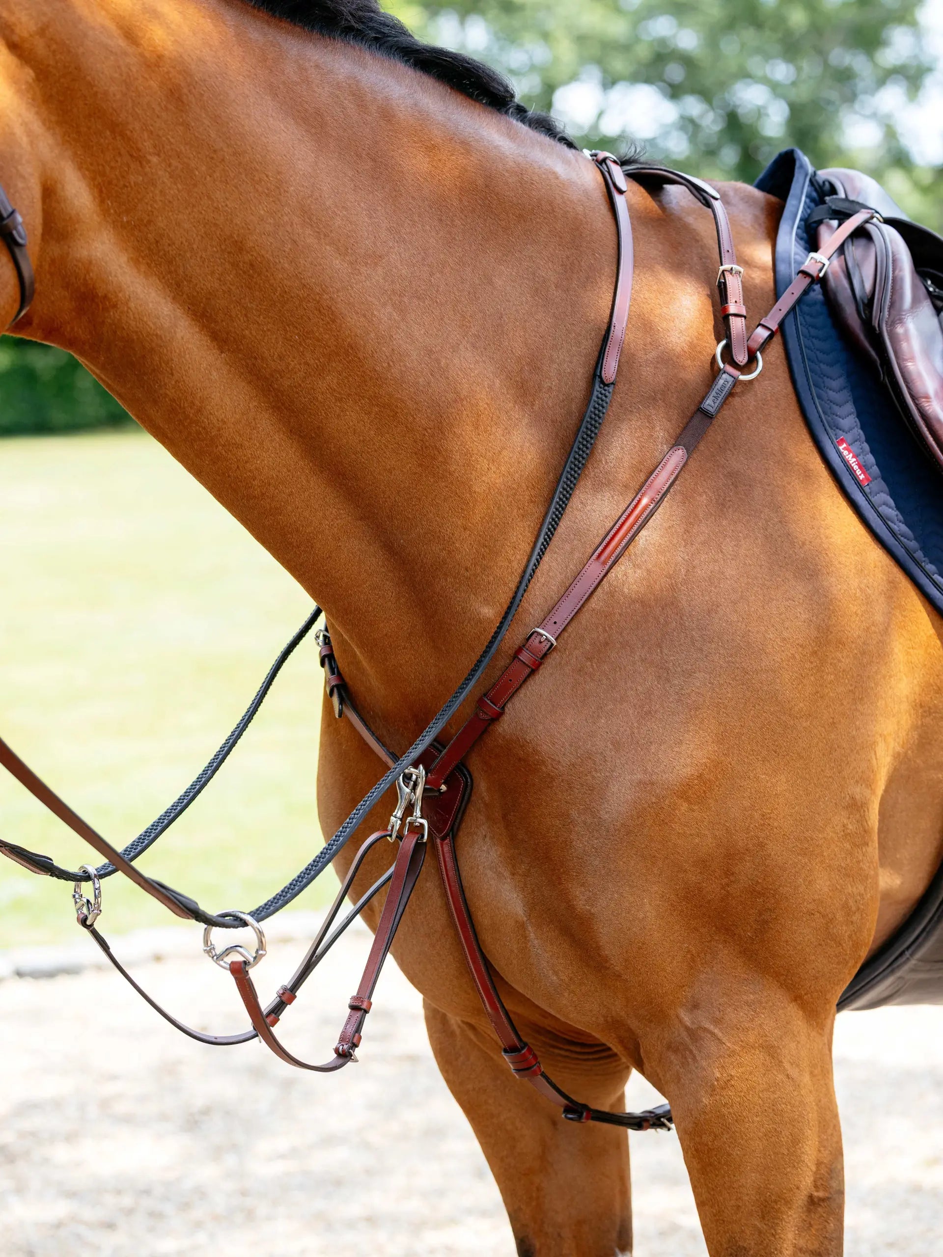 LeMieux Breastplate (D-Ring Attachment) Chestnut/Silver
