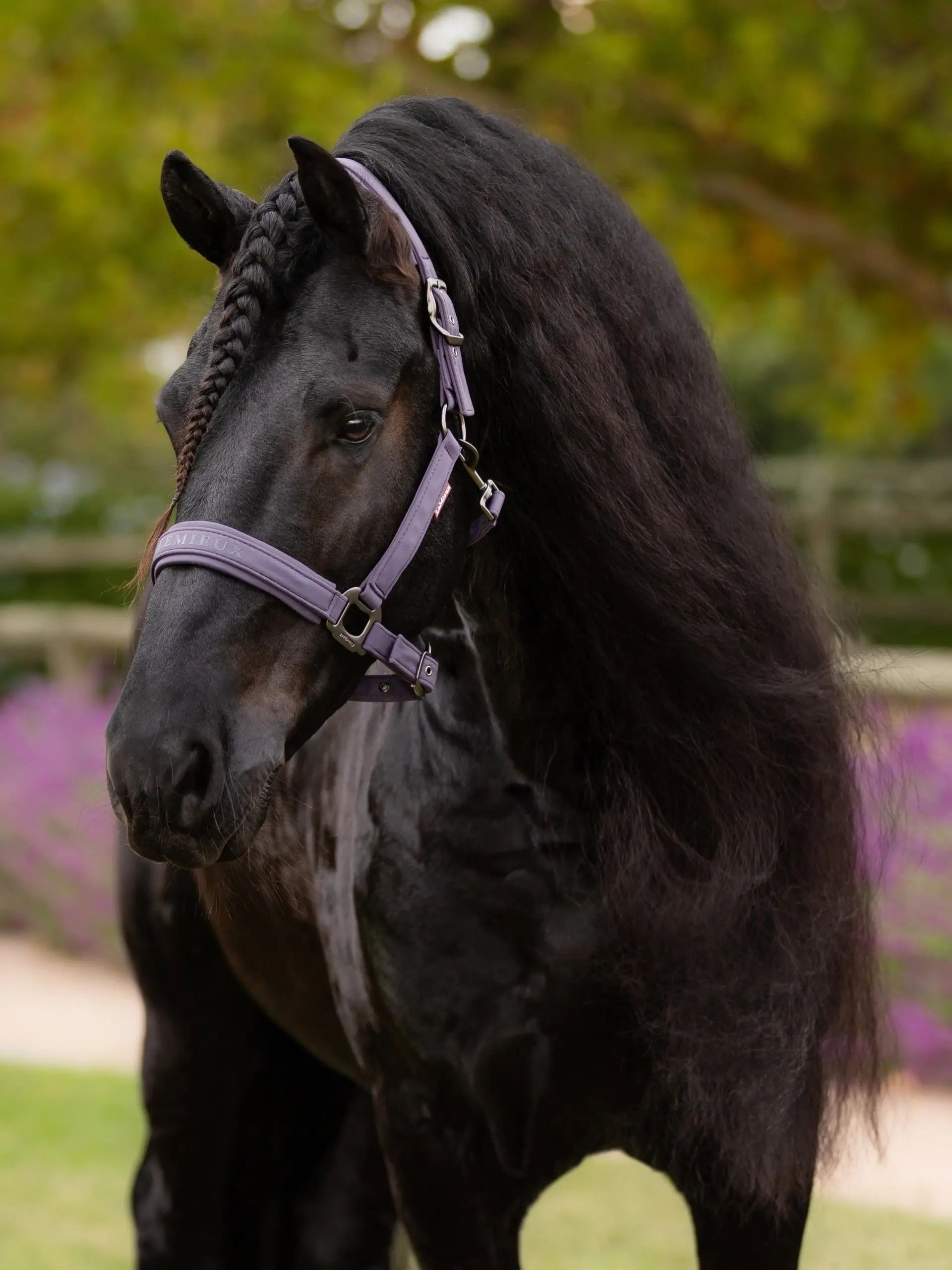 LeMieux Essence Headcollar Juniper
