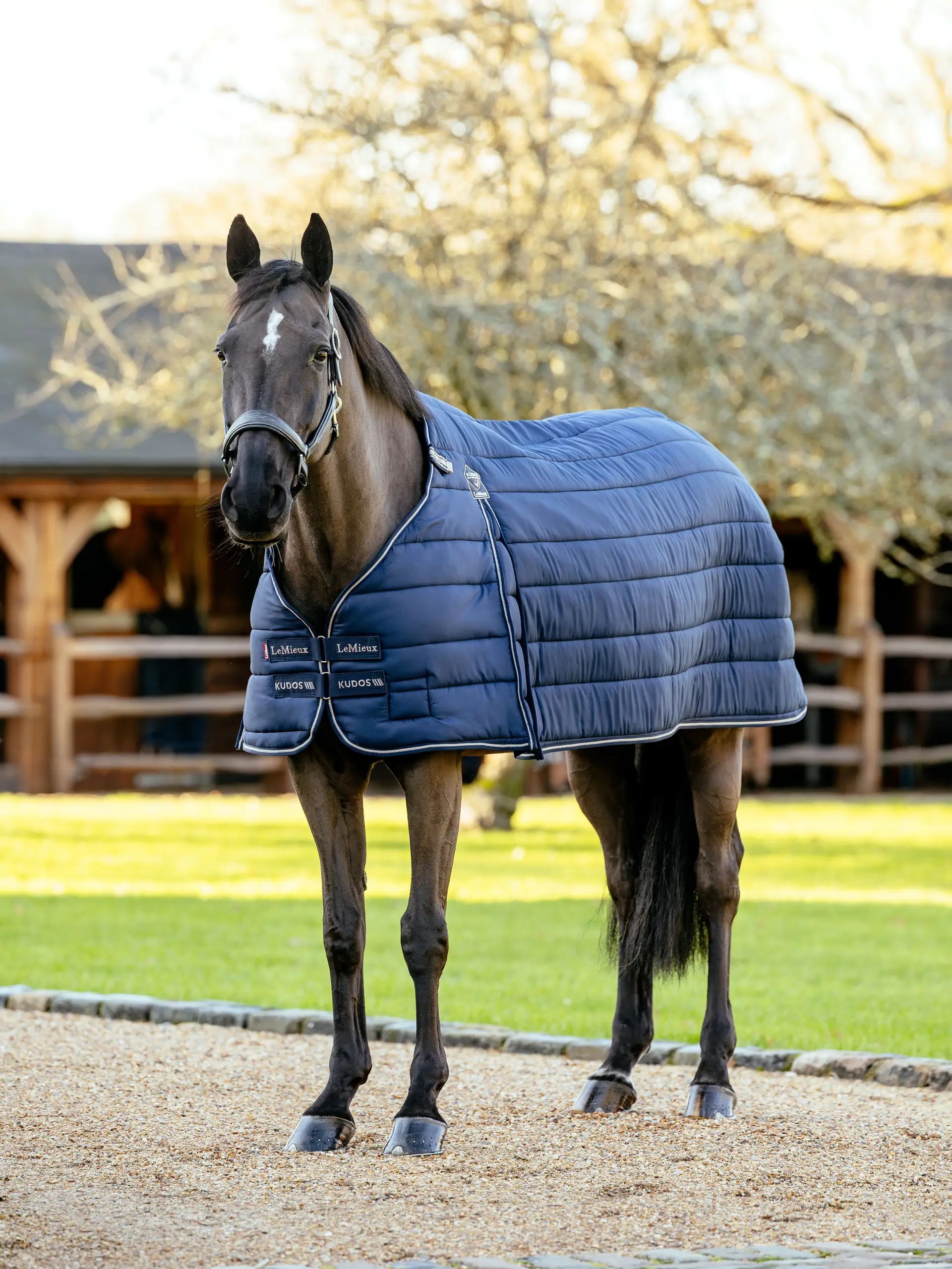 LeMieux Kudos Rug Liner 50g Navy: Horse blanket for warmth & comfort. Luxury equine bedding from Equiflair.