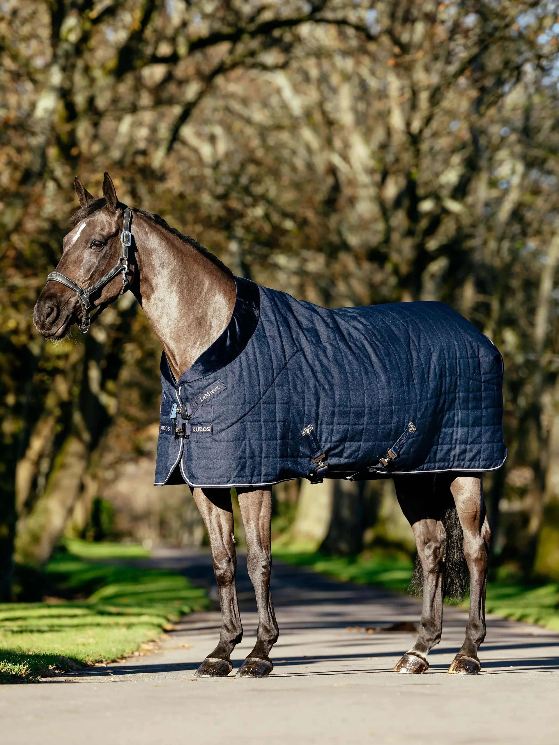 LeMieux Kudos Luxe Lined Stable Rug Navy
