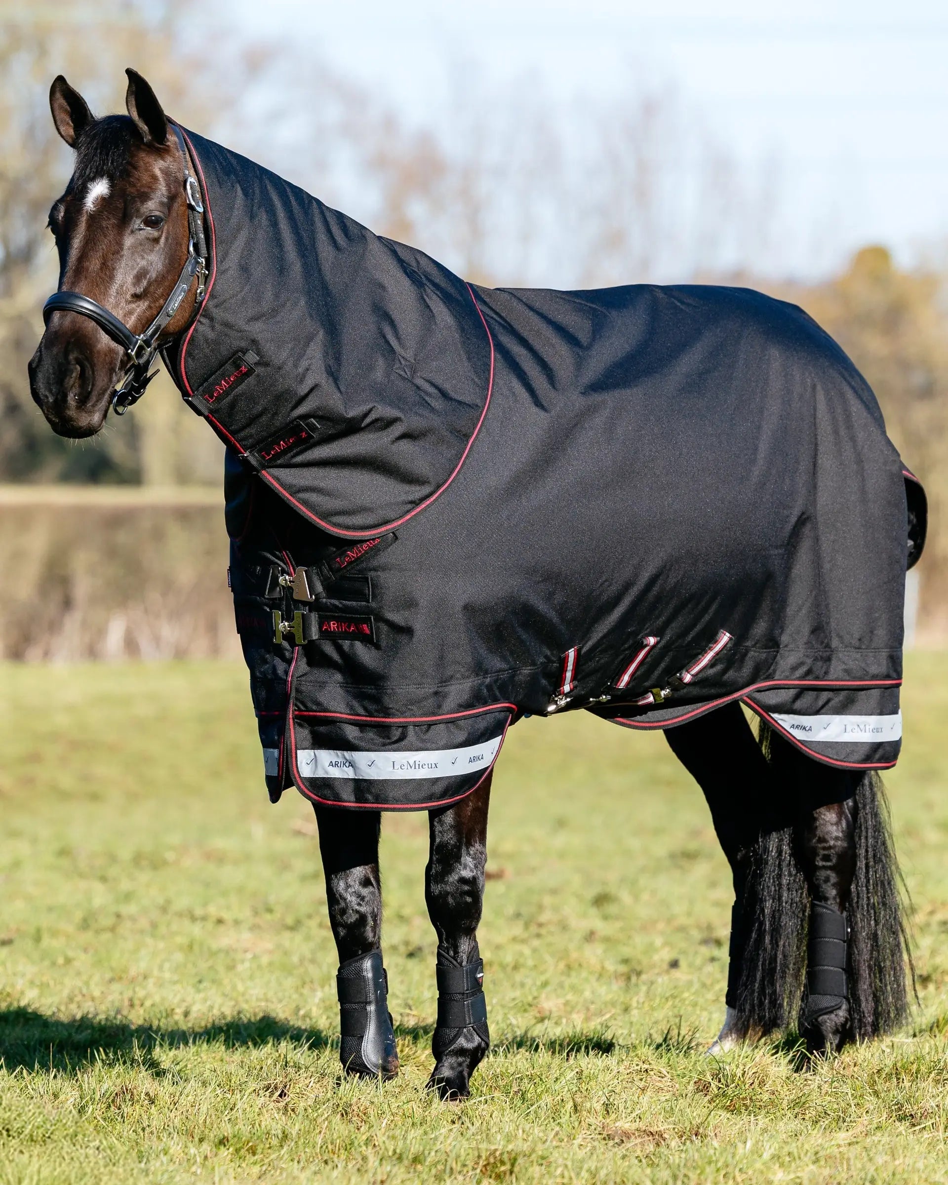 LeMieux Arika Storm-Tek Rug 50g Black
