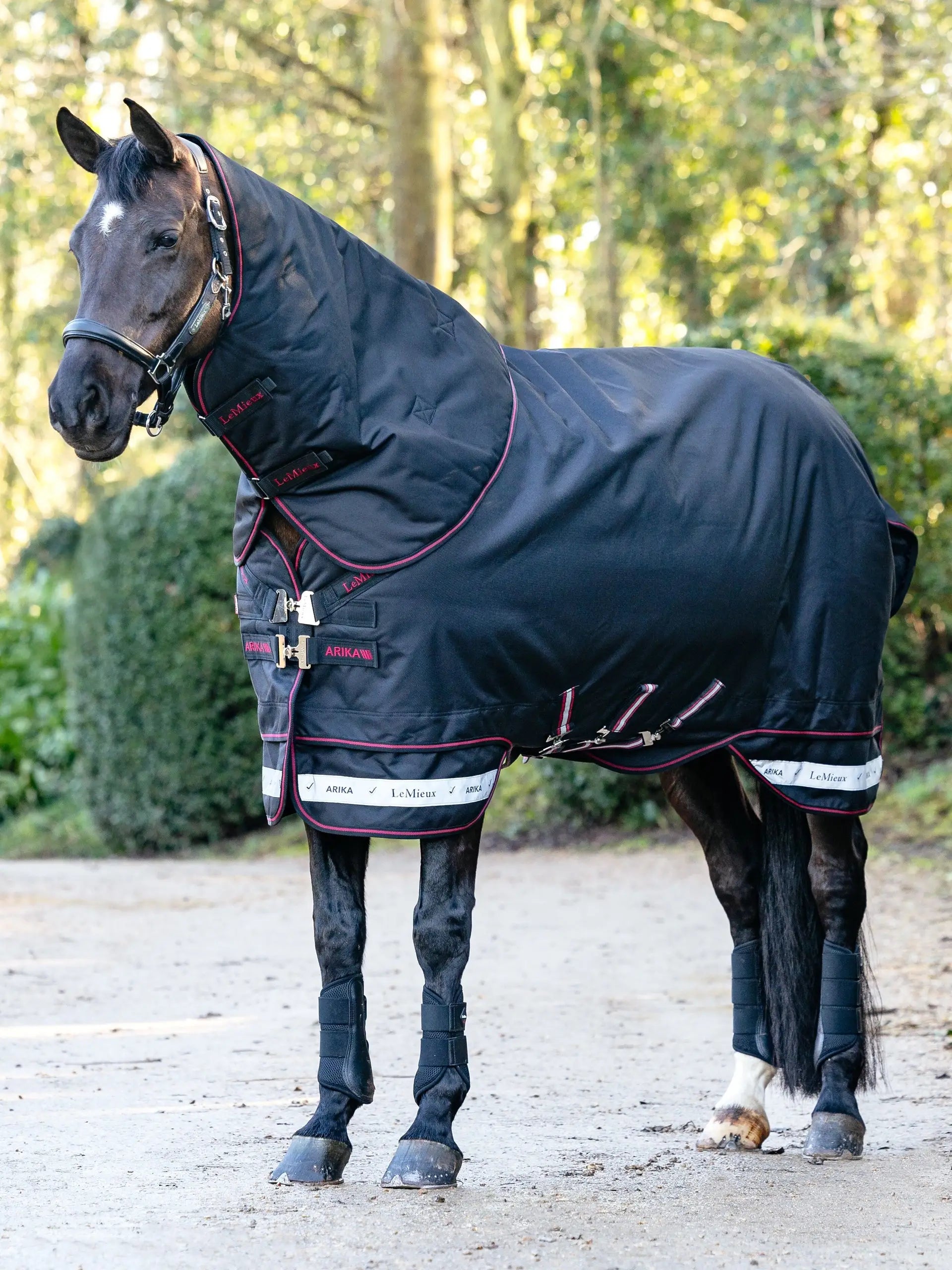 LeMieux Arika Storm-Tek Rug 100g Black