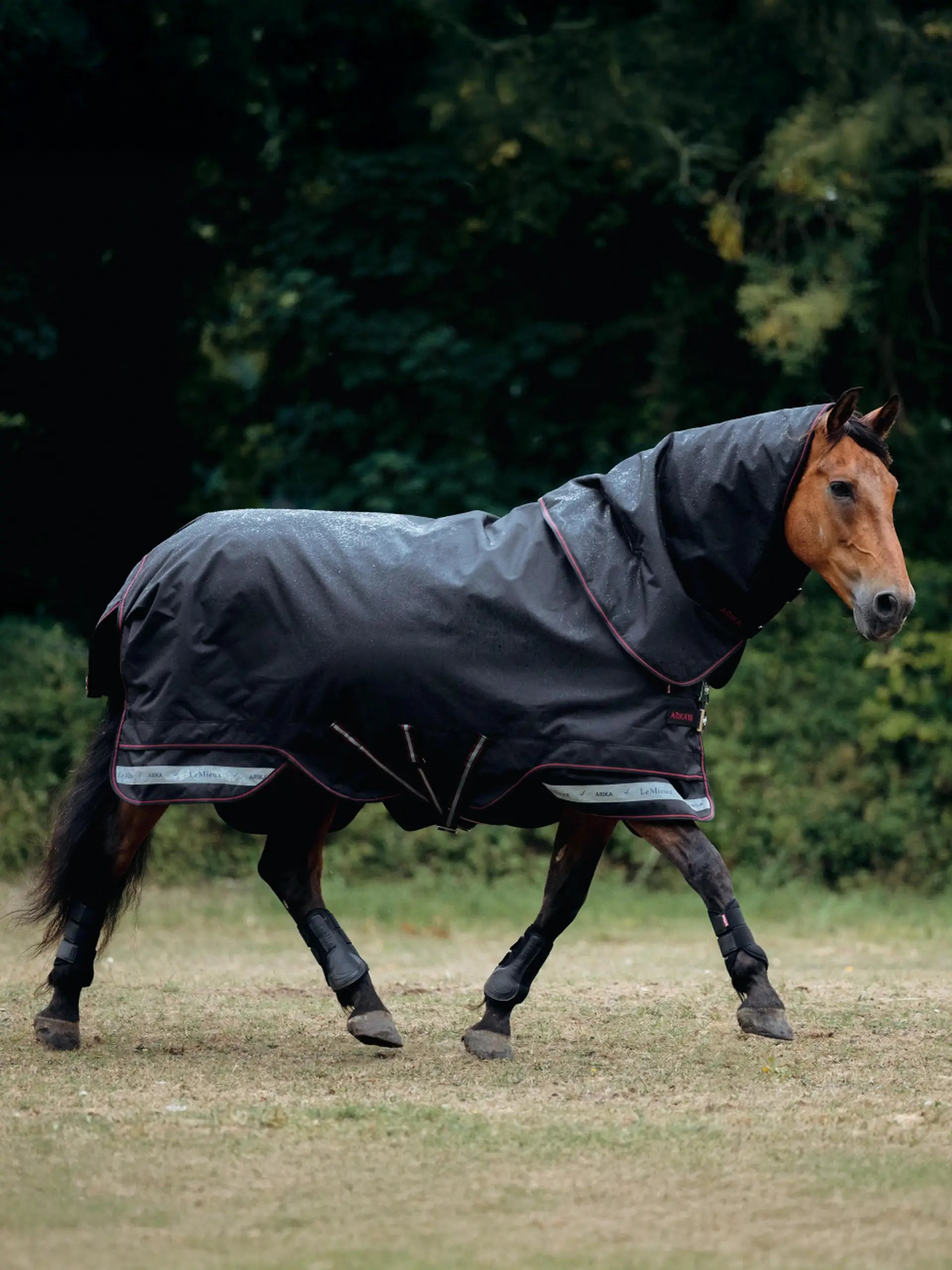 LeMieux Arika Storm-Tek Rug 200g Black