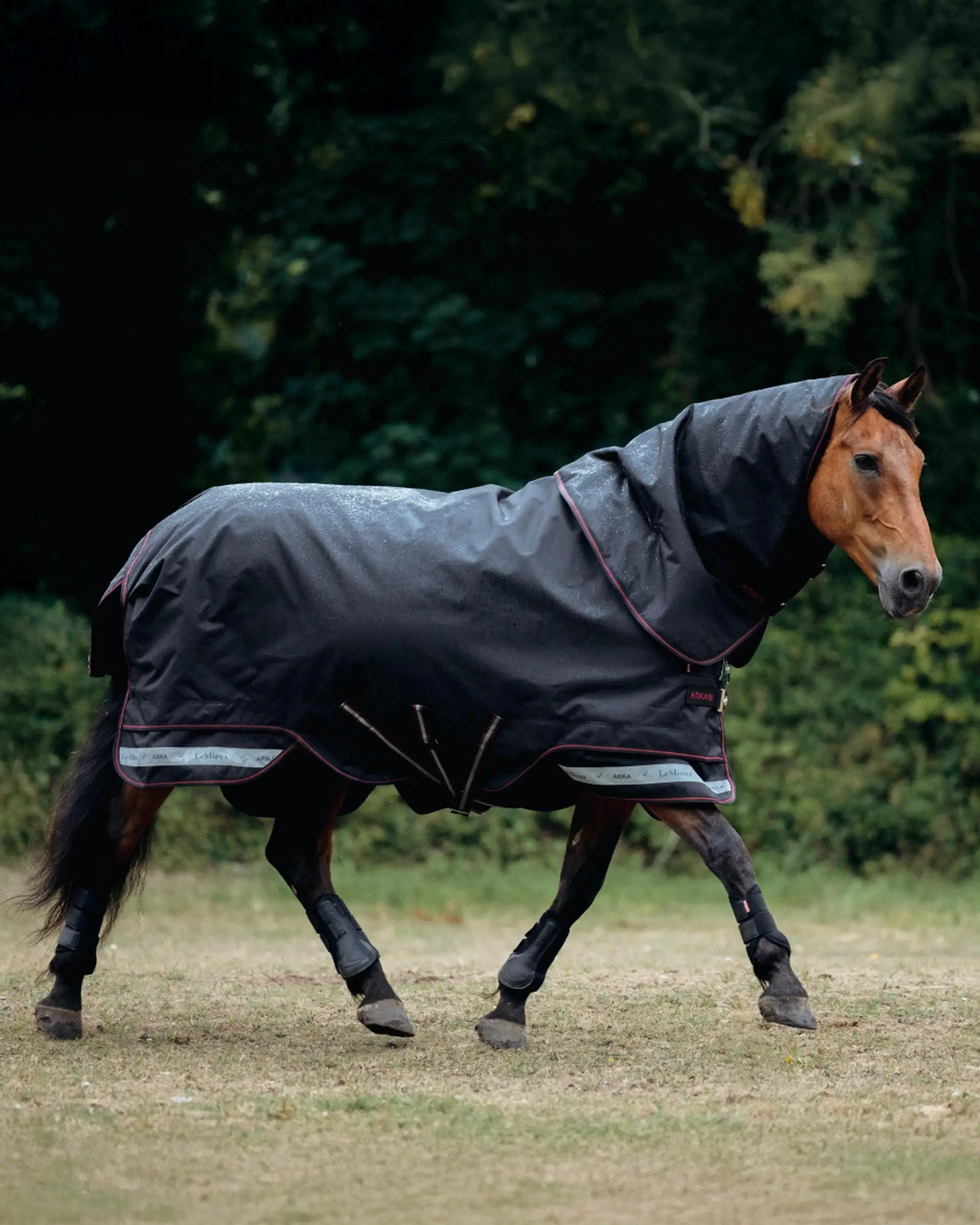 LeMieux Arika Storm-Tek Rug 200g Black - Turnout Rug AW25 Horse 4'9"