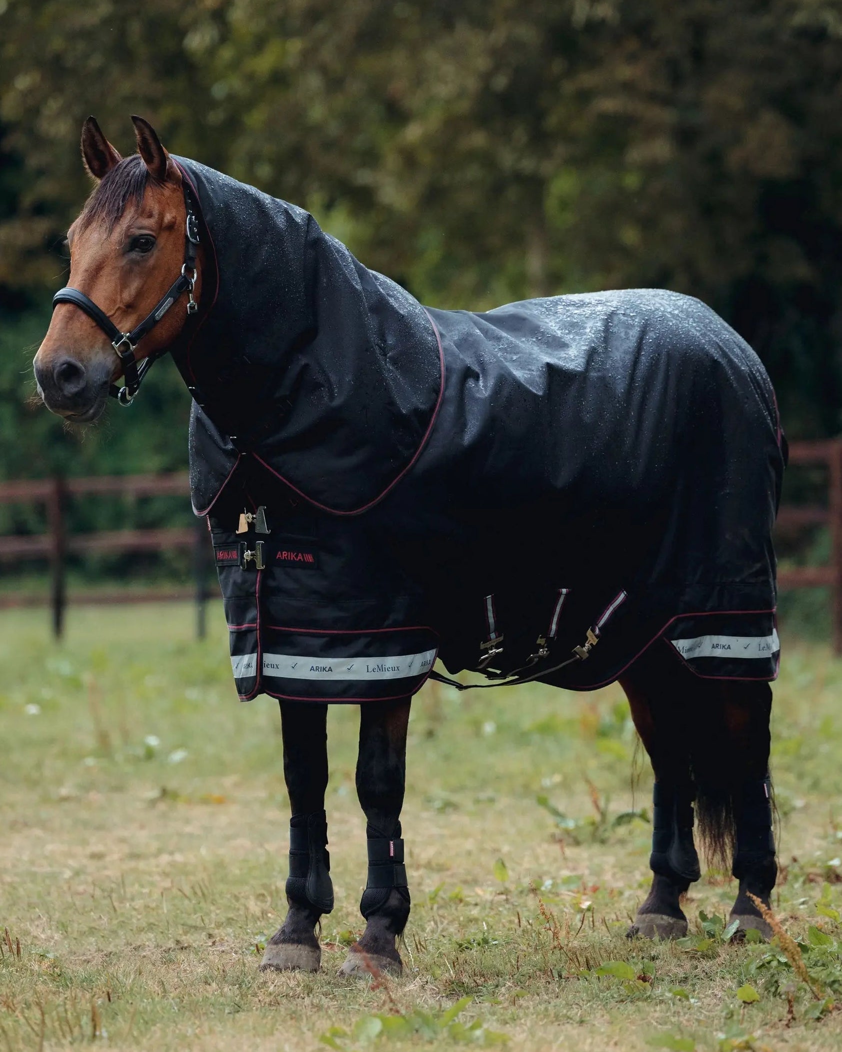 LeMieux Arika Storm-Tek Rug 200g Black