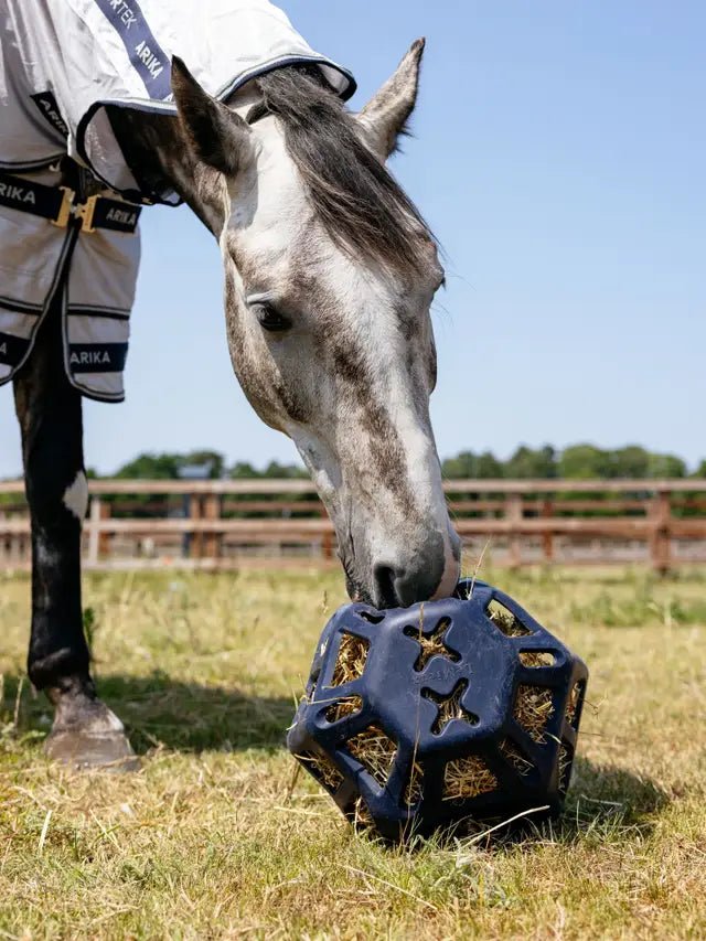 LeMieux Hay Ball Navy | Equiflair