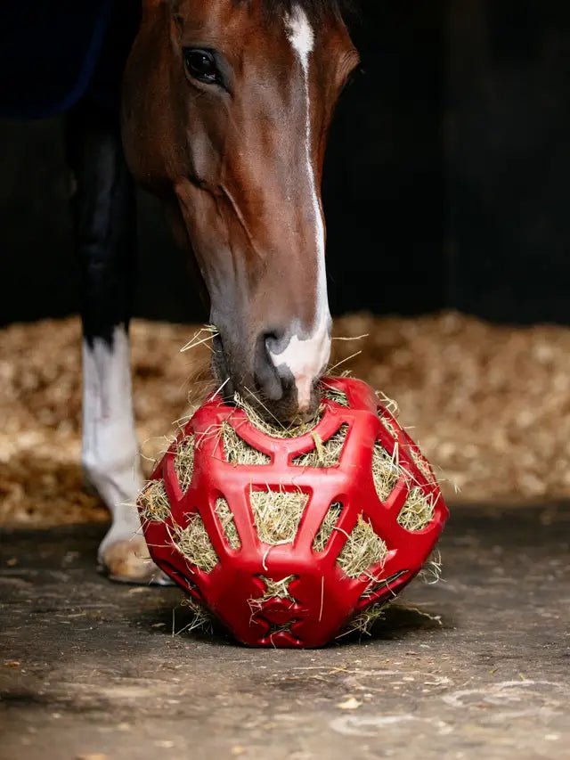 LeMieux Hay Ball Chilli | Equiflair
