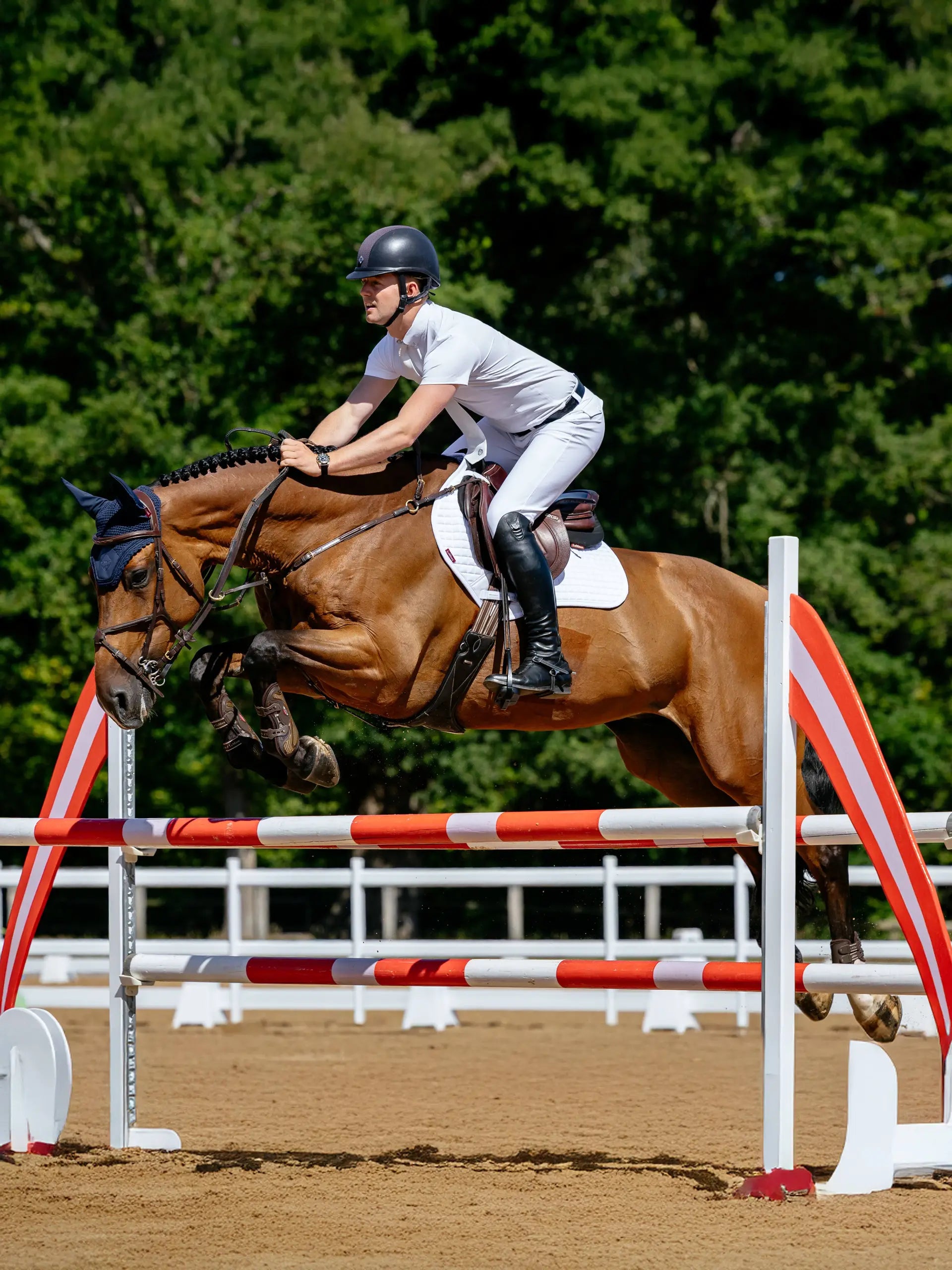 Equestrian Show Jumping: Rider & Brown Horse Leap Over Fence. LEMIEUX COTTON CLOSE CONTACT SQUARE WHITE NEW DESIGN visible on saddle.