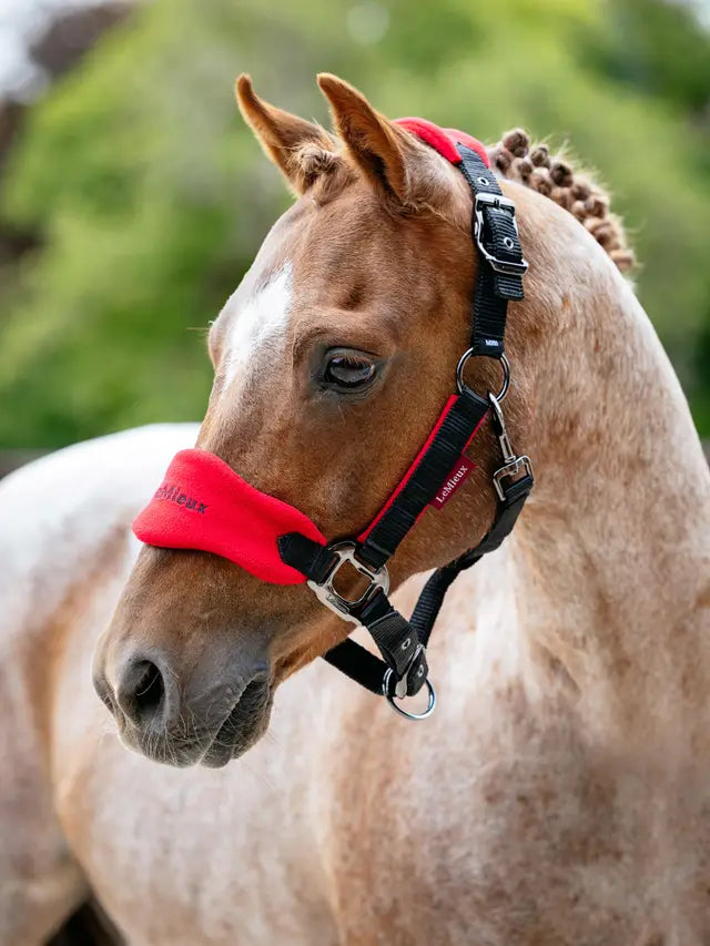 Lemieux Mini Vogue Chilli Red Pony Headcollar: Soft Fleece Padded Horse Halter & Leadrope. Equiflair Saddlery